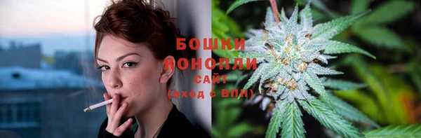 соль ск Гатчина