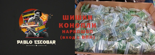ГАЛЛЮЦИНОГЕННЫЕ ГРИБЫ Приозерск