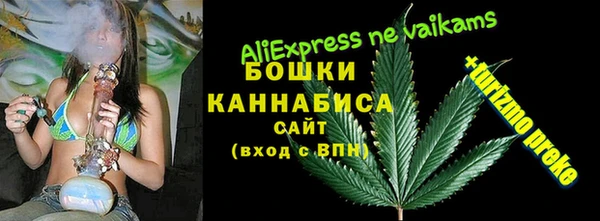 ГАЛЛЮЦИНОГЕННЫЕ ГРИБЫ Приозерск