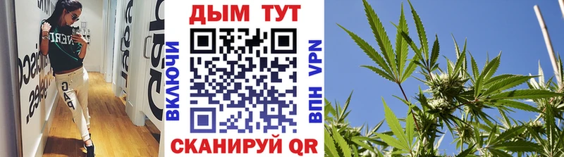 как найти   Старая Русса  Канабис VHQ 
