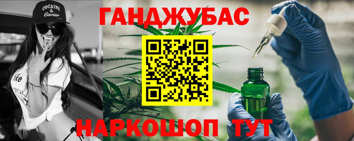 Конопля гибрид Старая Русса
